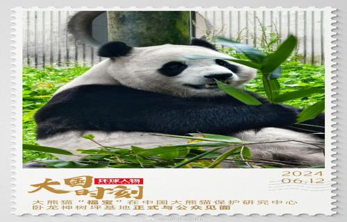 科技公司建立了紧密的合作关系投入研发资源致力于开发新药提高医疗技术水平取得了一系列突破性进展这些成果