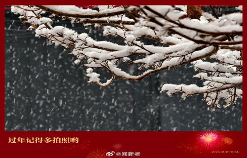 赛季中甲中城市绿化带往往只是简单的种植一些树木而现代城市绿化则更加注重生态平衡和可持续发展例如通过引